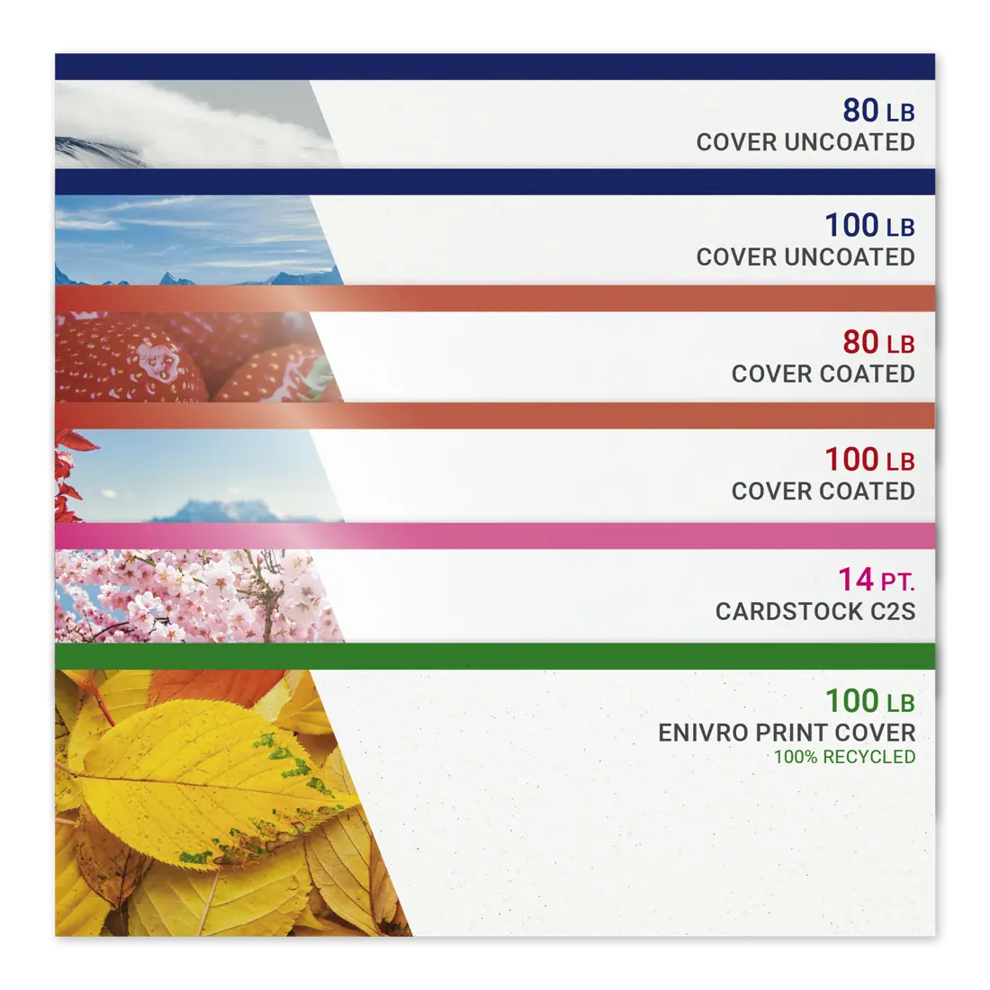 Swatches of our cover-weight stocks